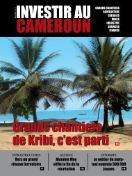 IC1.pdf - Investir au Cameroun