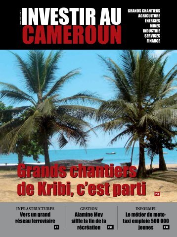 IC1.pdf - Investir au Cameroun