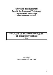 pdf_TP_Bot_B3.pdf - Université de Nouakchott