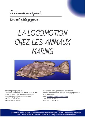 La locomotion des animaux marins