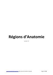 Anatomie regions v1.0 - TMT - The Medical Teamwork