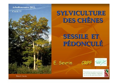Sylviculture des chênes sessile et pédonculé - Caue 77