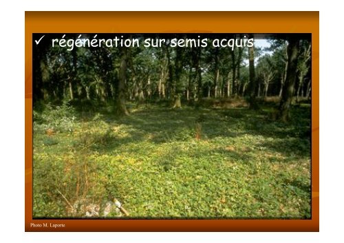 Sylviculture des chênes sessile et pédonculé - Caue 77