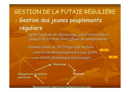 Sylviculture des chênes sessile et pédonculé - Caue 77