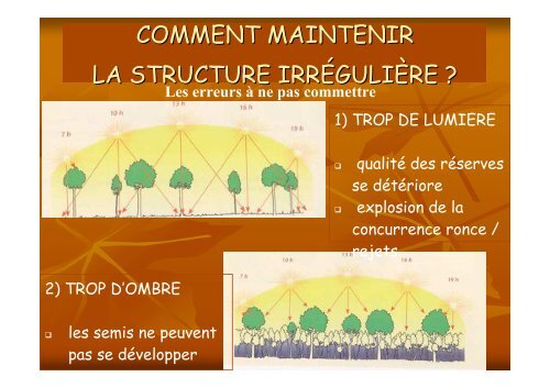 Sylviculture des chênes sessile et pédonculé - Caue 77