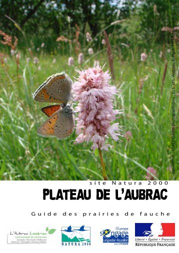 PLATEAU DE L'AUBRAC - Nasbinals