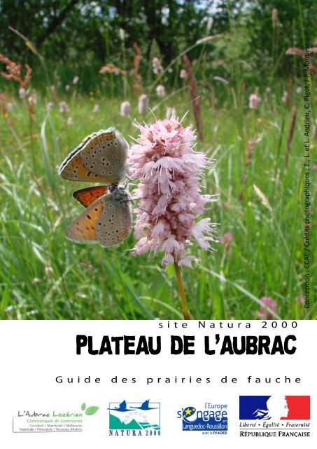 PLATEAU DE L'AUBRAC - Nasbinals