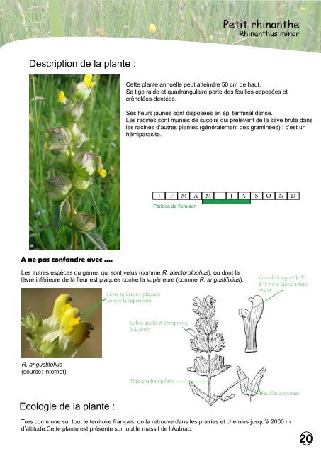 PLATEAU DE L'AUBRAC - Nasbinals