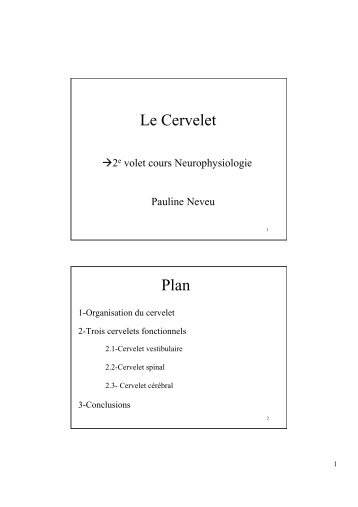Le Cervelet Plan - Pauline Neveu