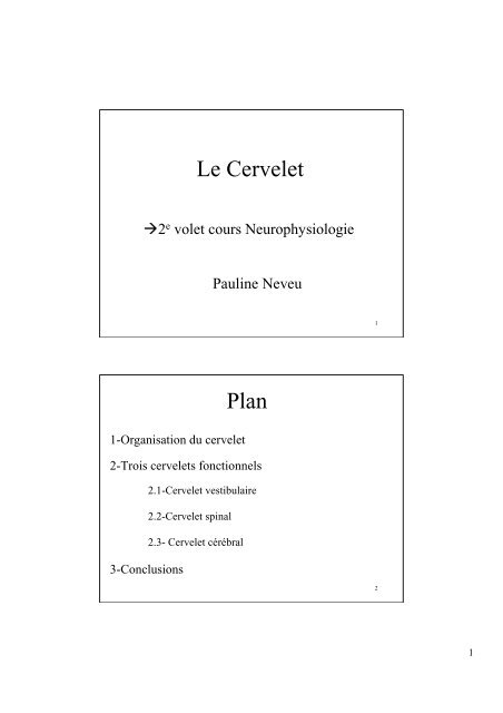 Le Cervelet Plan - Pauline Neveu