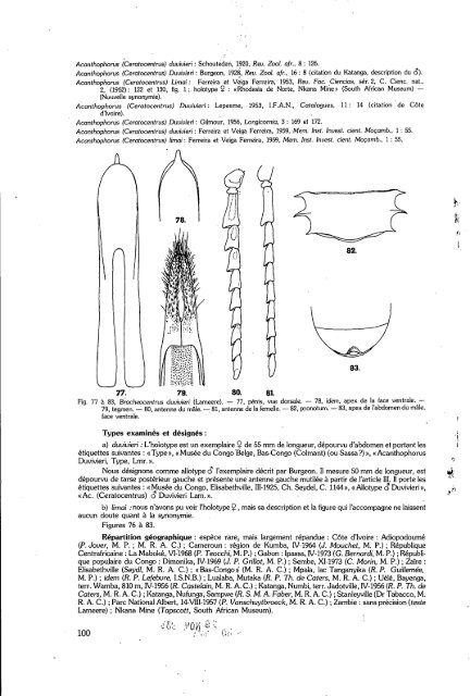 Genera et catalogue raisonné des Prioninae africains: 3 ...