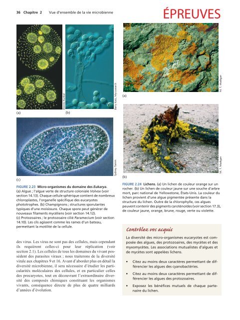 Vue d'ensemble de la vie microbienne - Pearson