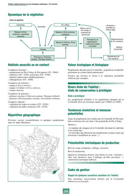 Habitats forestiers.pdf - Index of