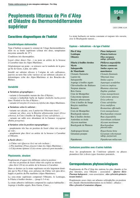 Habitats forestiers.pdf - Index of