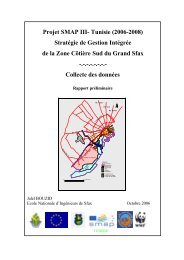 Collecte de données Rapport préliminaire - Medcities