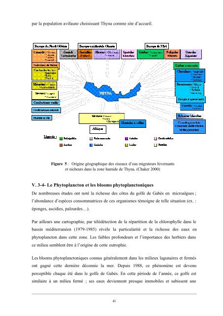 Collecte de données Rapport préliminaire - Medcities