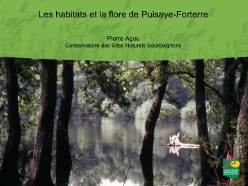 Les habitats et la flore de Puisaye-Forterre - Bourgogne-Nature
