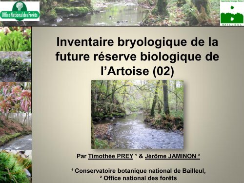 Inventaire bryologique de la future réserve biologique de l'Artoise