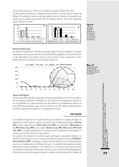 Mésogée N°64-2008 / 65-2009 - Muséum d'histoire naturelle de ...