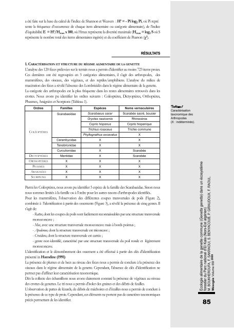 Mésogée N°64-2008 / 65-2009 - Muséum d'histoire naturelle de ...