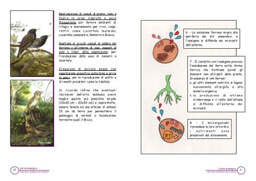 Manuale orto sinergico.pub - Ambiente - Regione Emilia-Romagna