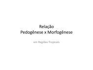 Relação Pedogênese x Morfogênese - LABOGEF