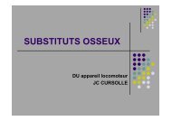 SUBSTITUTS OSSEUX