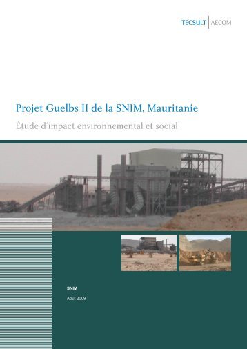 Étude d'impact environnemental et social