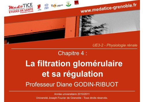La filtration glomérulaire et sa régulation - Université Virtuelle Paris 5