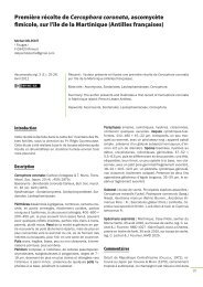 AscomyceteOrg 03-01_AscomyceteOrg