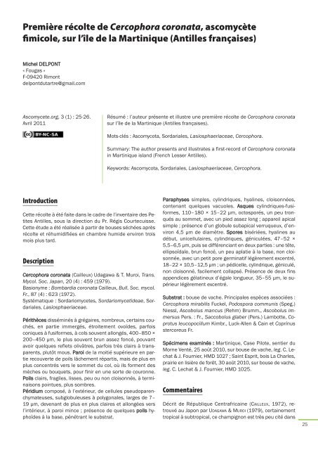 AscomyceteOrg 03-01_AscomyceteOrg