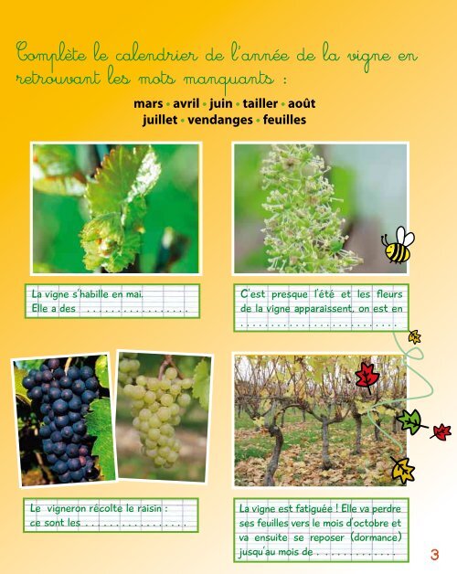 Cahier de la vigne CE - Découvre ta Bourgogne