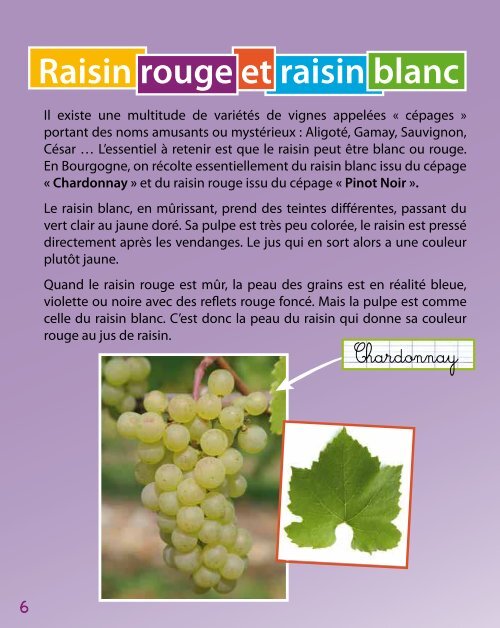 Cahier de la vigne CE - Découvre ta Bourgogne