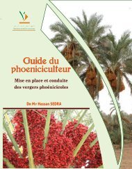 Guide du phoeniciculteur - Institut National de la Recherche ...