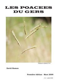 Les Poacees du Gers v2.pdf - Association Botanique Gersoise