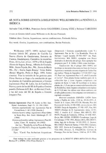 63. nota sobre genista lobelii sensu willkomm en la península ibérica