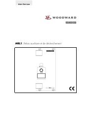 MRL1 – Relais auxiliaire et de déclenchement - DSF Technologies