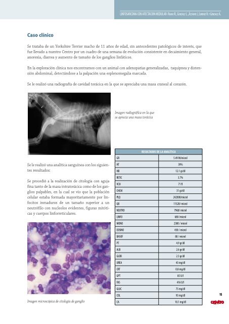 Contraportada - AMVAC