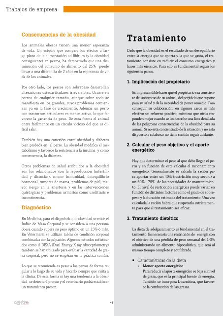 Descarga la revista en formato PDF - AMVAC