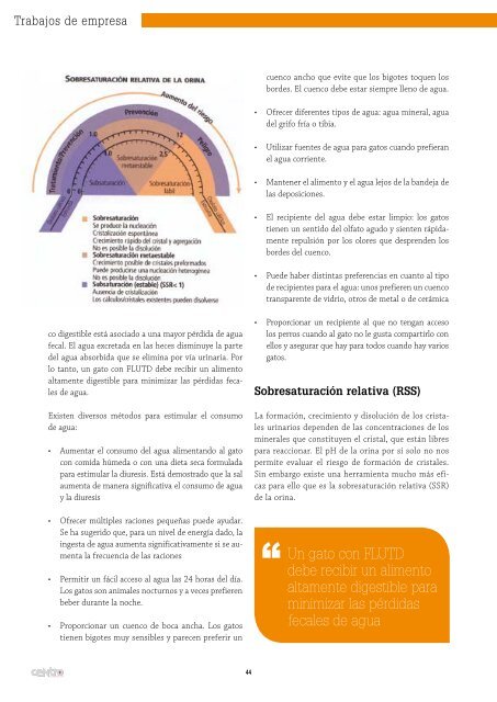 Descarga la revista en formato PDF - AMVAC