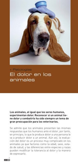 Descarga la revista en formato PDF - AMVAC