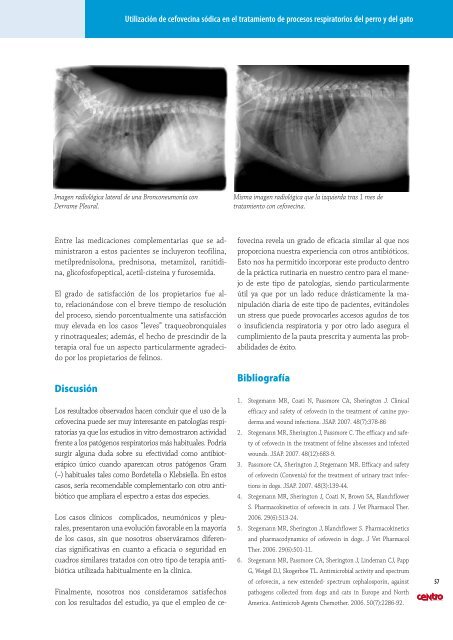 Contraportada - AMVAC