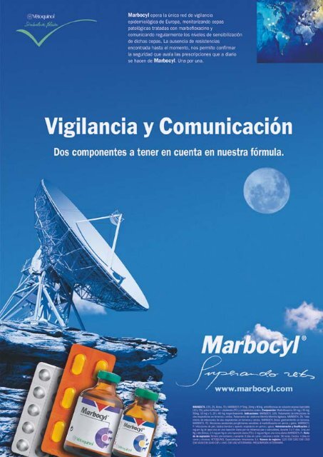 Contraportada - AMVAC