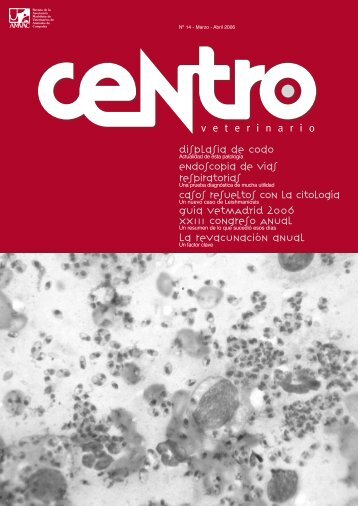 Descarga la revista en formato PDF - AMVAC