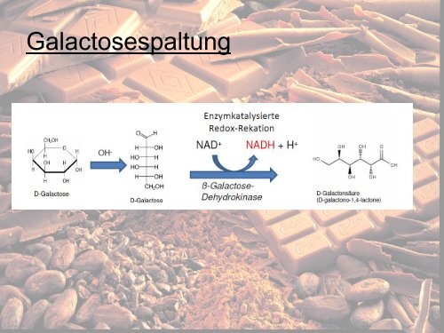 Bestimmung von Lactose/Galactose in Schokolade