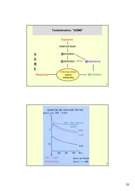 Allgemeine Toxikologie II - Institut für Analytische Chemie