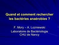 Quand rechercher les bactéries anaérobies ? - Antibiolor