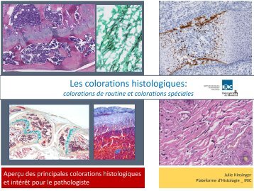 Les colorations histologiques: colorations de routine et ... - Formaline