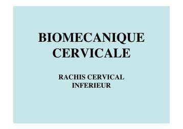 Biomécanique cerv.inf - GEMNORD