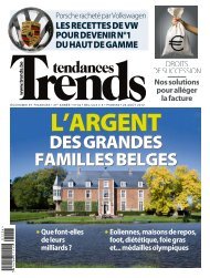 DES GRANDES FAMILLES BELGES